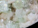 Zoned Apophyllite Crystals on Stilbite - India #44447-2
